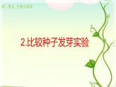 2 比较种子发芽实验 课件