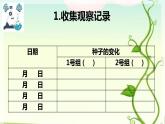 2 比较种子发芽实验 课件