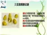 2 比较种子发芽实验 课件