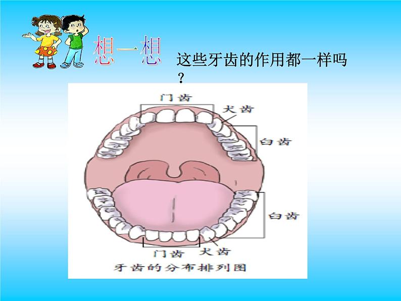 [教科版]四年级上册科学2.7食物在口腔里的变化(课件)04