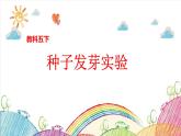 五下一1-种子发芽实验课件PPT