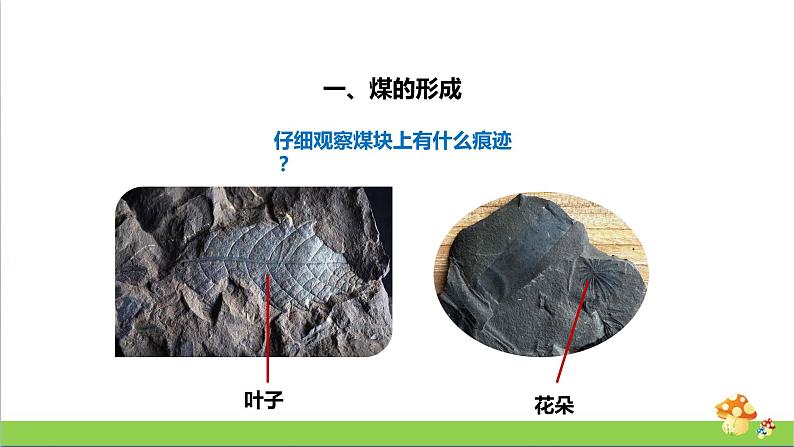 [人教版]六年级上册科学4.13《煤、石油和天然气》教学课件07