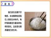 2022-2023六年级下册科学教科版第6课生命体中的化学变化教学课件