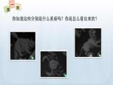 教科版六年级科学下册课件 第三单元 5 夏季星空