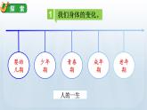 教科版六年级科学下册课件 第四单元 6 生命体中的化学变化