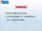 教科版六年级科学下册课件 第四单元 7 美丽的化学变化