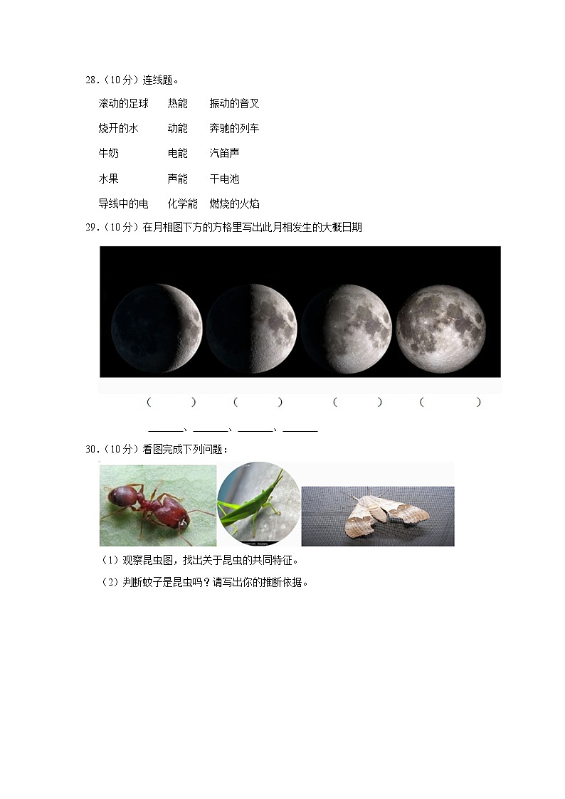 2022年湖南省长沙市小升初科学试卷（附答案）第3页
