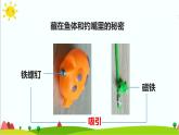 1.1《磁鐵能吸引什么》課件+教案+練習(xí)+素材