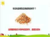 1.7《磁鐵和我們的生活》課件+教案+練習(xí)+素材