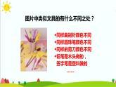 2.3《观察与比较》课件+教案+练习+素材