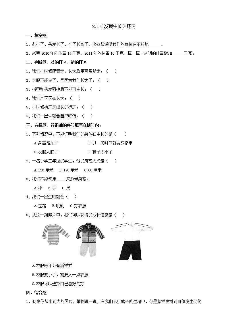 2.5《发现生长》课件+教案+练习+素材01