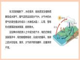 新苏教版科学五年级上册——4.16 水滴的“旅行”（课件）