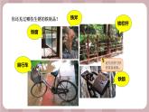 新苏教版科学六年级上册——1.2 铁钉生锈（课件）