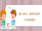 新蘇教版科學(xué)六年級上冊——2.5 生物的遺傳（課件）