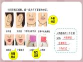 新苏教版科学六年级上册——2.5 生物的遗传（课件）