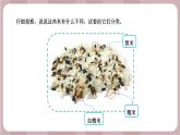 新蘇教版科學(xué)六年級(jí)上冊(cè)——2.6 生物的變異（課件）