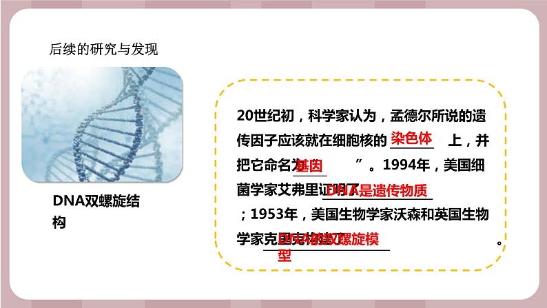 新苏教版科学六年级上册——2.7 寻找遗传与变异的秘密（课件）04