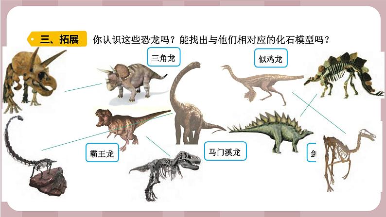 新苏教版科学六年级上册——3.8 消失的恐龙（课件）第4页