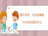 新苏教版科学六年级上册——3.9 化石告诉我们什么（课件）