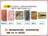 新苏教版科学六年级上册——3.9 化石告诉我们什么（课件）