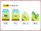 新苏教版科学六年级上册——3.9 化石告诉我们什么（课件）
