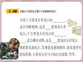 新苏教版科学六年级上册——3.9 化石告诉我们什么（课件）