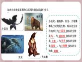 新苏教版科学六年级上册——3.9 化石告诉我们什么（课件）