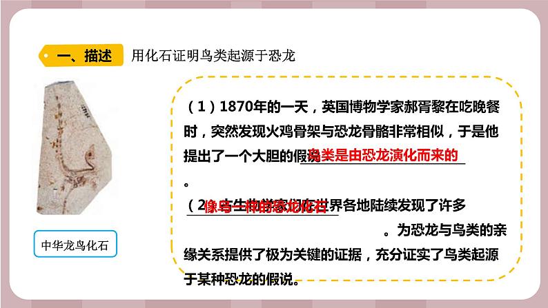 新苏教版科学六年级上册——3.10 用化石作证据（课件）02