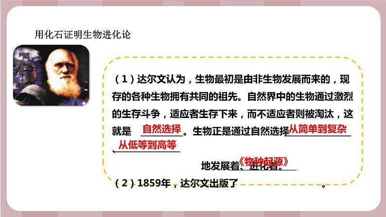 新苏教版科学六年级上册——3.10 用化石作证据（课件）05