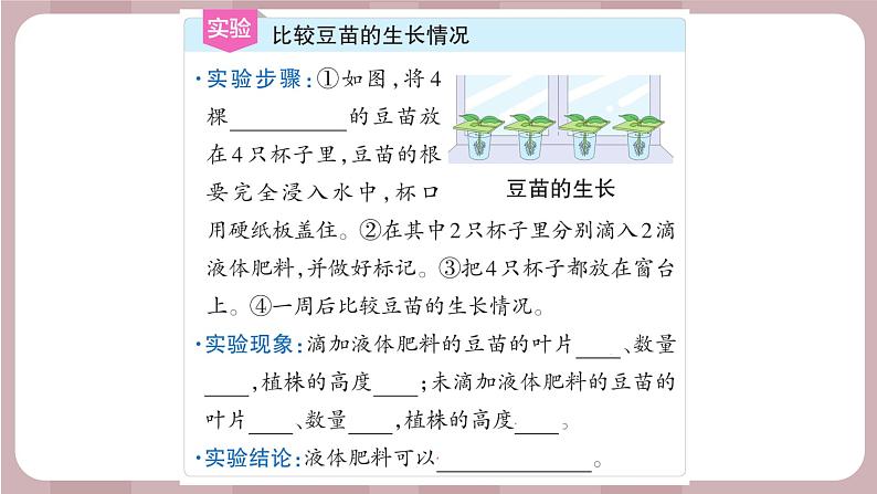 新苏教版科学六年级上册——5.16 人造肥料与现代农业（课件）05