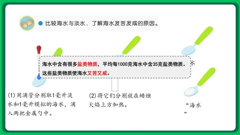 苏教版科学三年级上册——4.14 海洋（课件）05