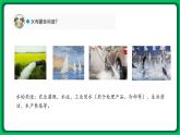 苏教版科学三年级上册——4.15 珍惜水资源（课件）