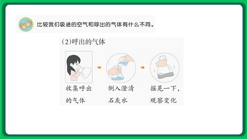 苏教版科学三年级上册——5.16 人的呼吸（课件）05