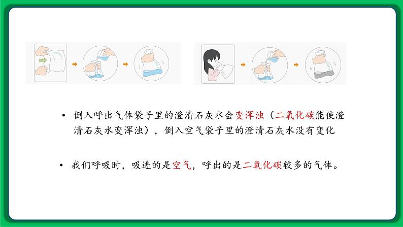 苏教版科学三年级上册——5.16 人的呼吸（课件）06