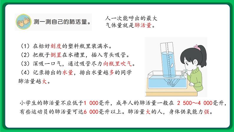 苏教版科学三年级上册——5.17 运动和呼吸（课件）05