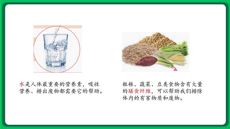 苏教版科学三年级上册——5.19 食物与营养（课件）第5页