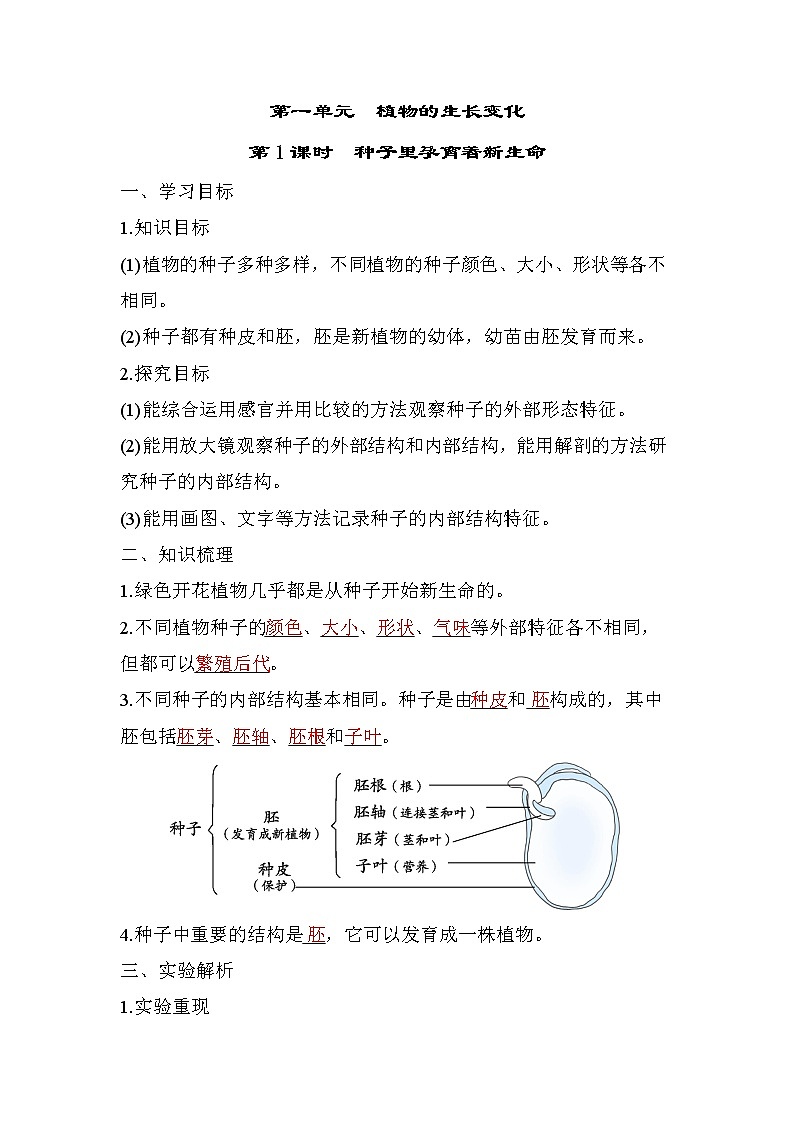 1.1 种子里孕育着新生命（习题课件+知识点梳理）教科版四年级科学下册（PowerPoint 打开PPT）01