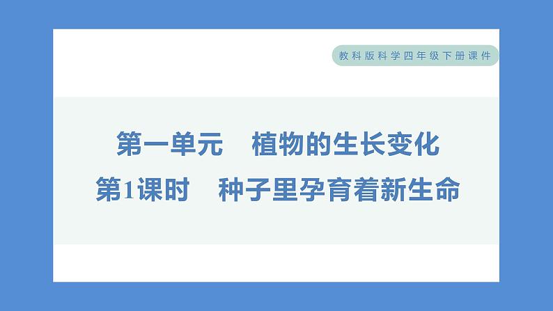 1.1 种子里孕育着新生命（习题课件+知识点梳理）教科版四年级科学下册（PowerPoint 打开PPT）01