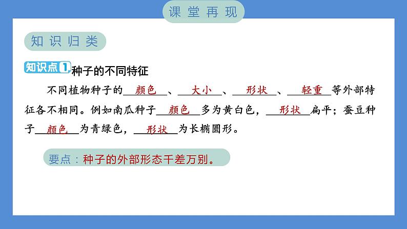 1.1 种子里孕育着新生命（习题课件+知识点梳理）教科版四年级科学下册（PowerPoint 打开PPT）02