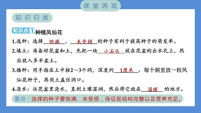 1.2 种植凤仙花（习题课件+知识点梳理）教科版四年级科学下册（PowerPoint 打开PPT）02