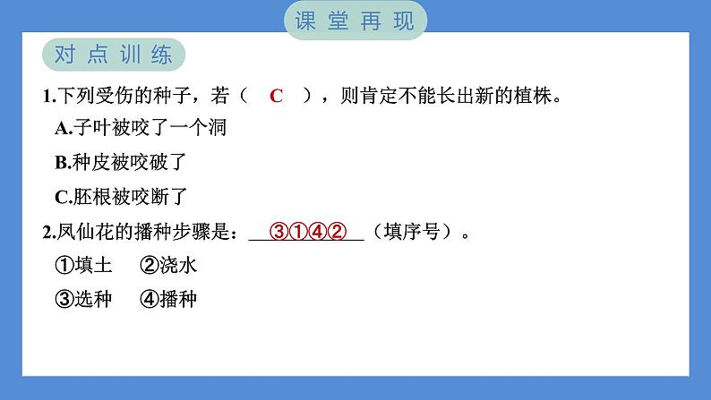 1.2 种植凤仙花（习题课件+知识点梳理）教科版四年级科学下册（PowerPoint 打开PPT）04