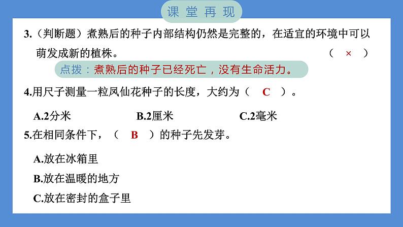 1.2 种植凤仙花（习题课件+知识点梳理）教科版四年级科学下册（PowerPoint 打开PPT）05