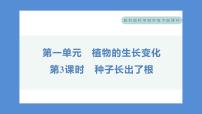 科学3.种子长出了根习题课件ppt