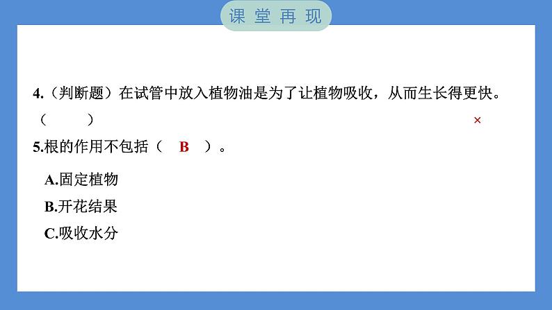 第3课时 种子长出了根第6页