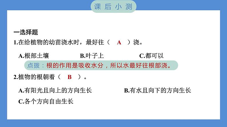 第3课时 种子长出了根第8页