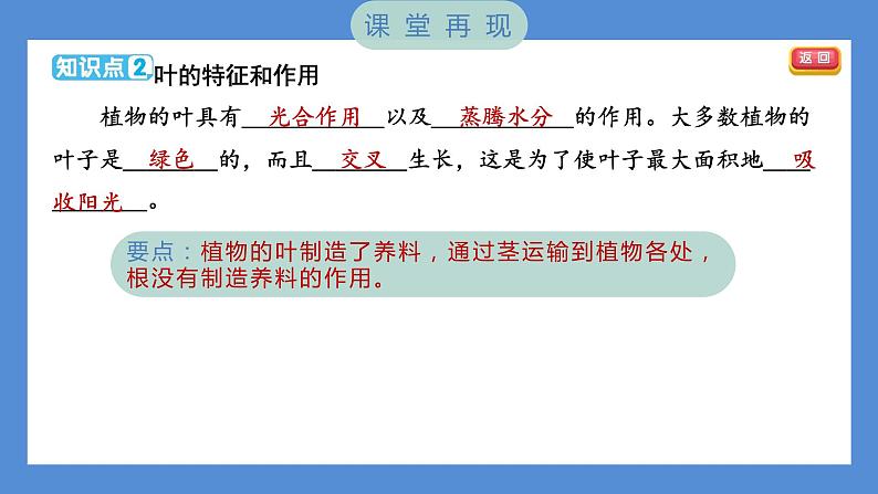 1.4 茎和叶（习题课件+知识点梳理）教科版四年级科学下册（PowerPoint 打开PPT）03