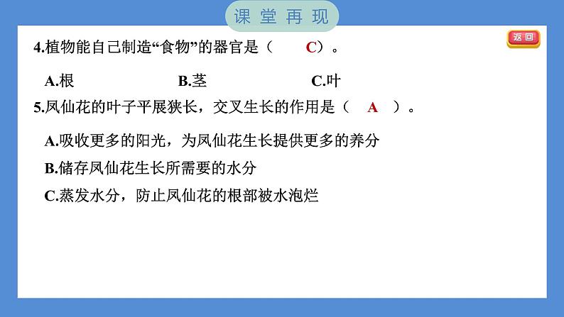 1.4 茎和叶（习题课件+知识点梳理）教科版四年级科学下册（PowerPoint 打开PPT）06