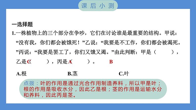 1.4 茎和叶（习题课件+知识点梳理）教科版四年级科学下册（PowerPoint 打开PPT）07