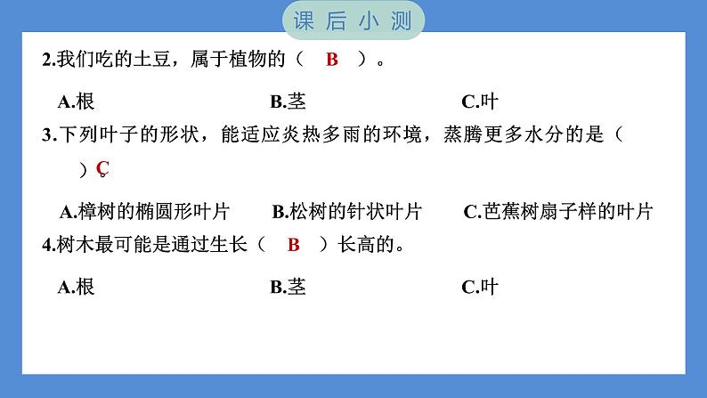 1.4 茎和叶（习题课件+知识点梳理）教科版四年级科学下册（PowerPoint 打开PPT）08