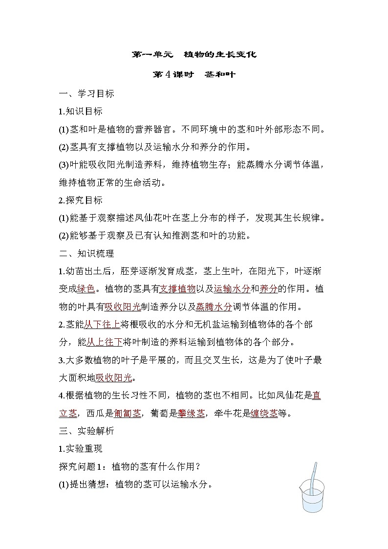 1.4 茎和叶（习题课件+知识点梳理）教科版四年级科学下册（PowerPoint 打开PPT）01